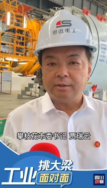 工业挑大梁·面对面①贾瑞云:德阳 攀枝花能"加出"提档升级
