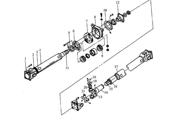 传动轴内部解剖图图片