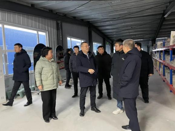 张龙江到岞山街道调研复工复产和农文旅项目建设工作