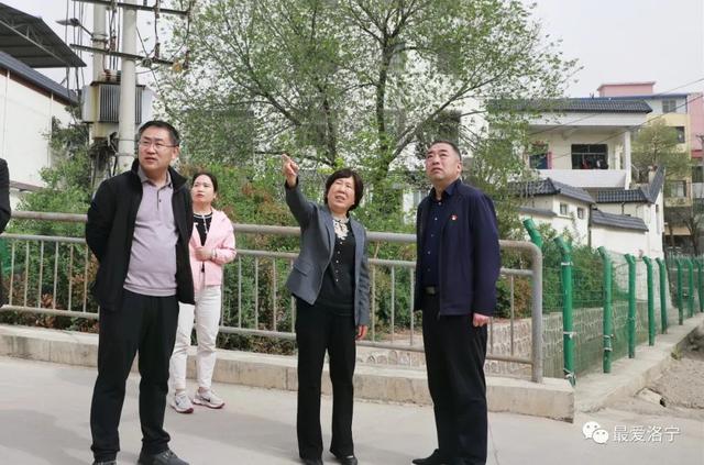 洛阳洛宁:王淑霞督导调研全国文明城市创建工作