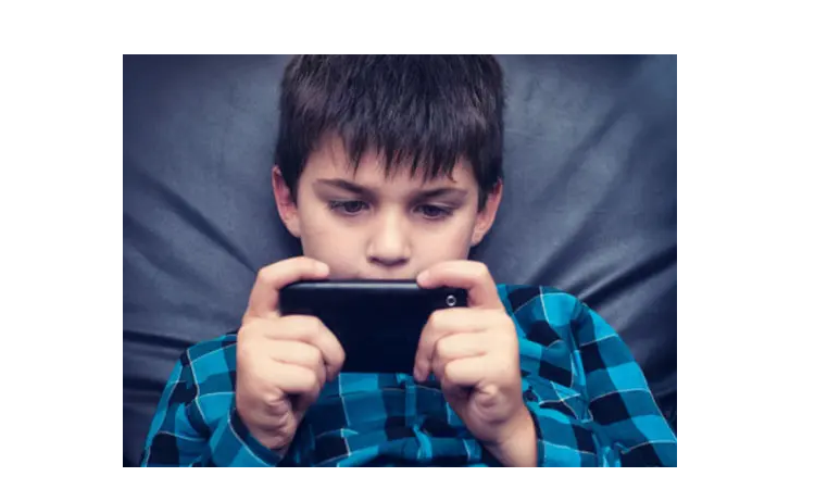 魅果手机是什么牌子