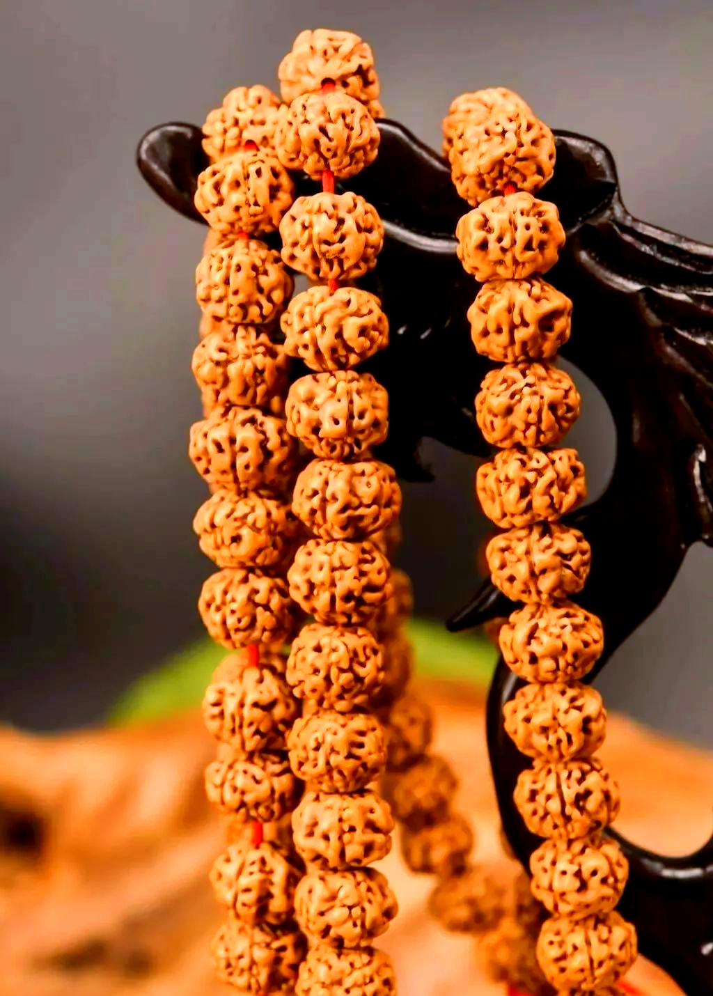 12mm姜黄皮矮桩爆肉小金刚菩提,皮质细腻,光洁油亮,行家珍藏!