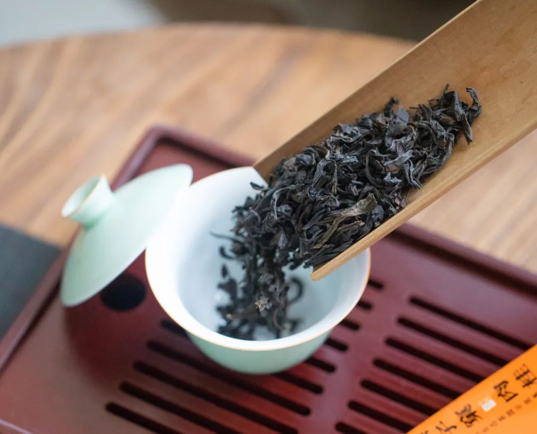 众筹丨武夷山燕子窠水仙肉桂岩茶,藏在森林里的生态好茶