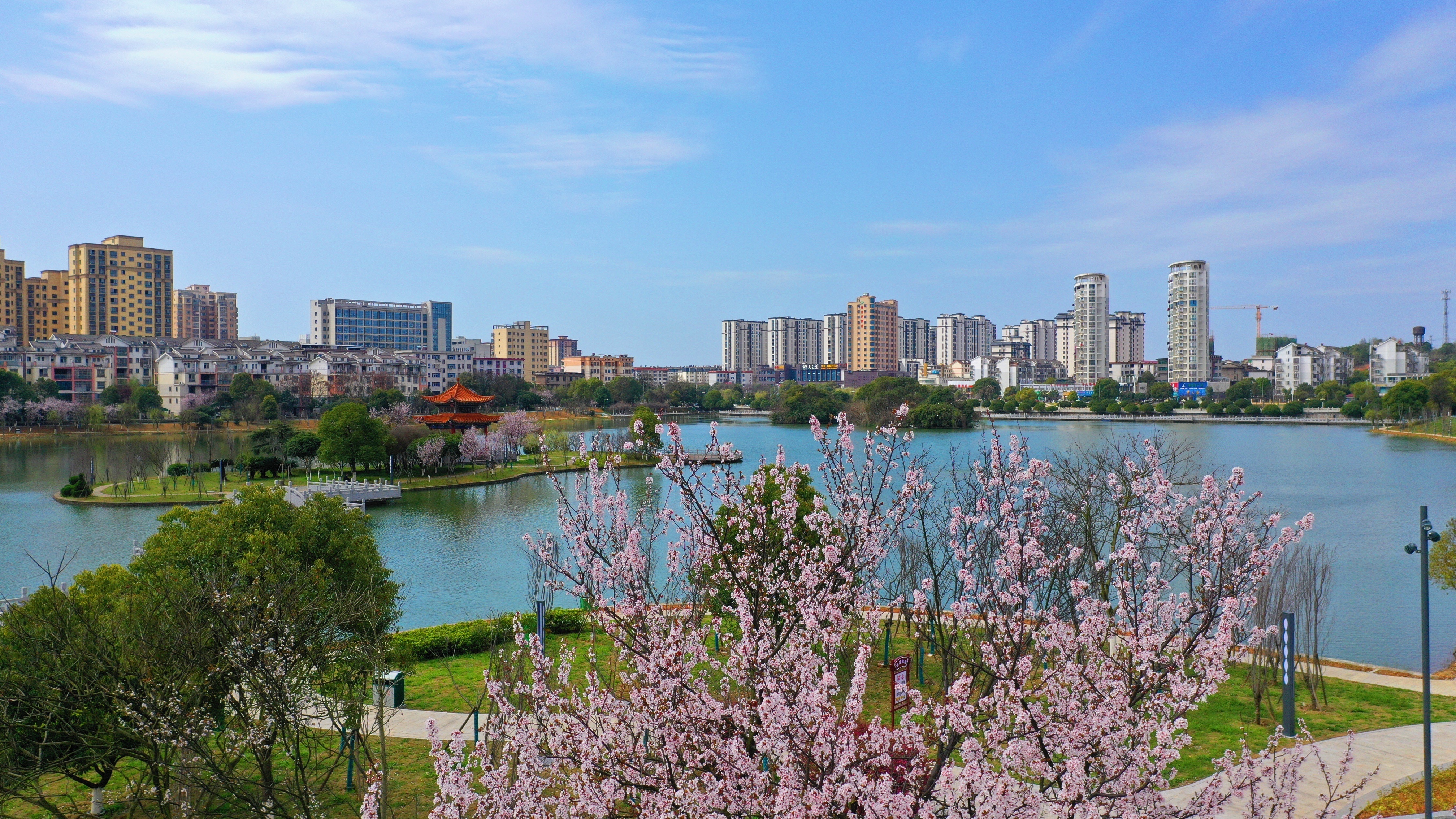 吉安县:县城春光无限好,龙湖公园花枝俏