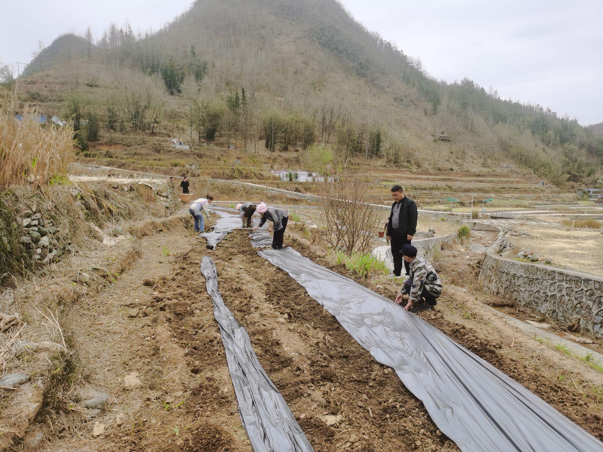 罗甸红水河镇:"四到位"深入推进基层治理再上新台阶