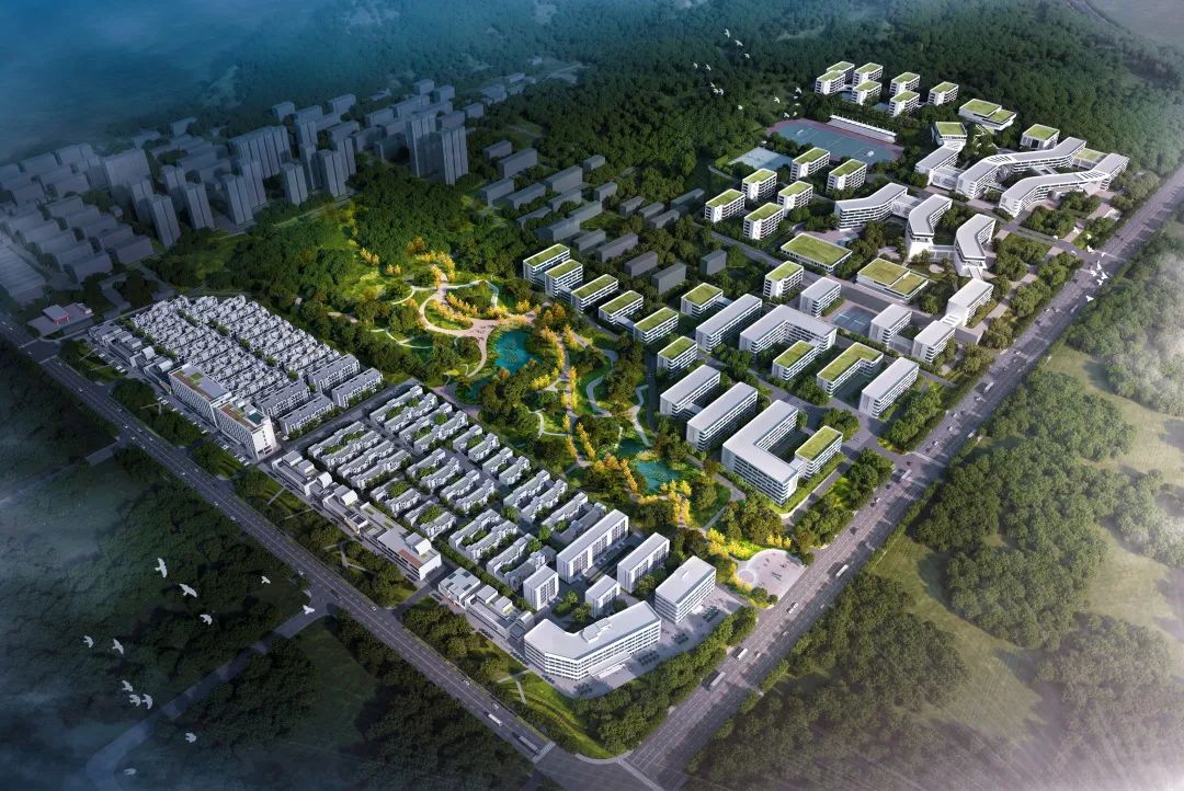 看,峰峰的大学城!效果图来了