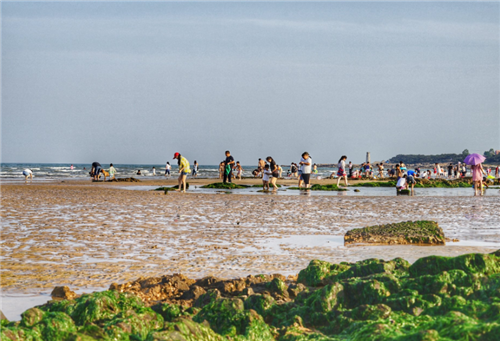 黄骅港免费赶海拾贝地点有哪些?