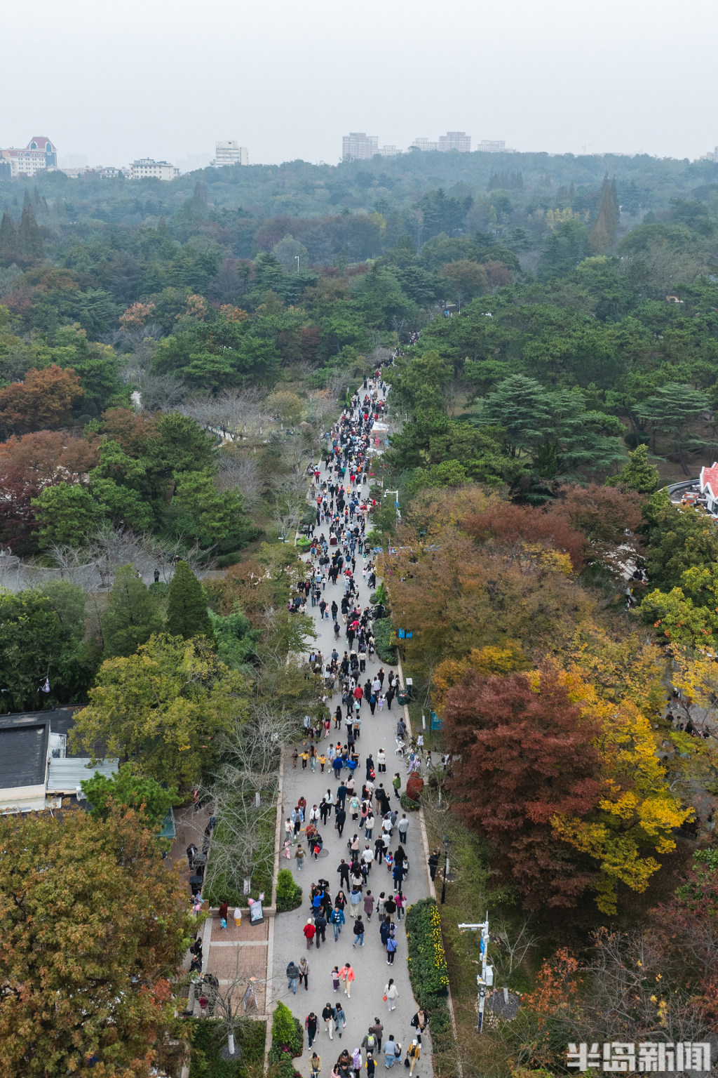 尧化门太平山公园图片