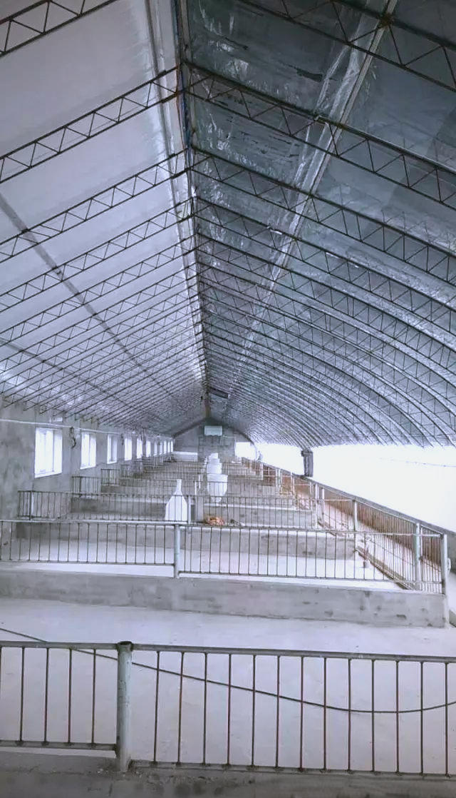 阳光猪舍建设预算及养殖收益分析