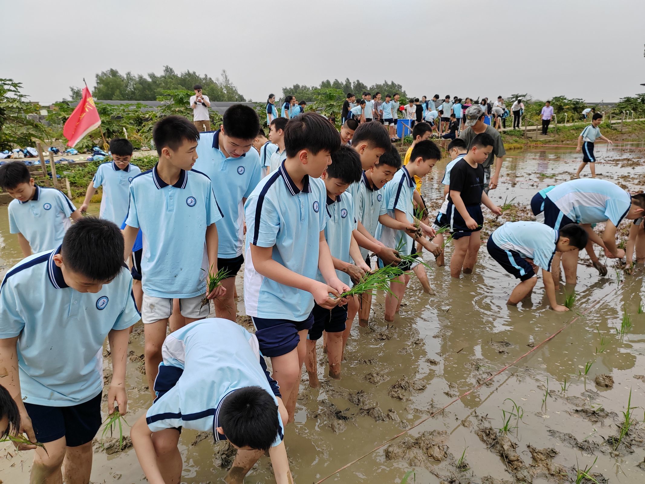 知行合一增见识,寓教于乐共成长广州市黄埔区九佛中学研学活动