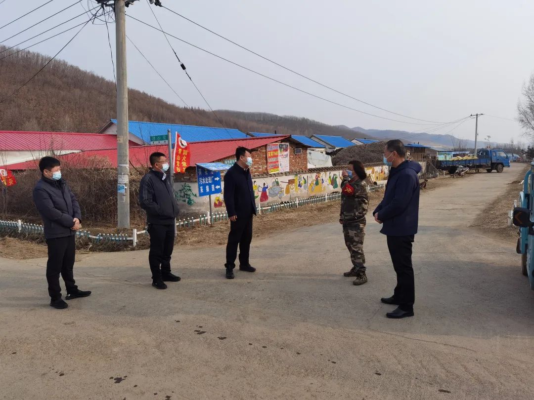 戴志军深入河西镇检查指导森林防火及疫情防控工作