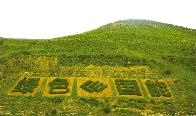 不负青山绿水——榆林三道沟煤矿的绿色转型