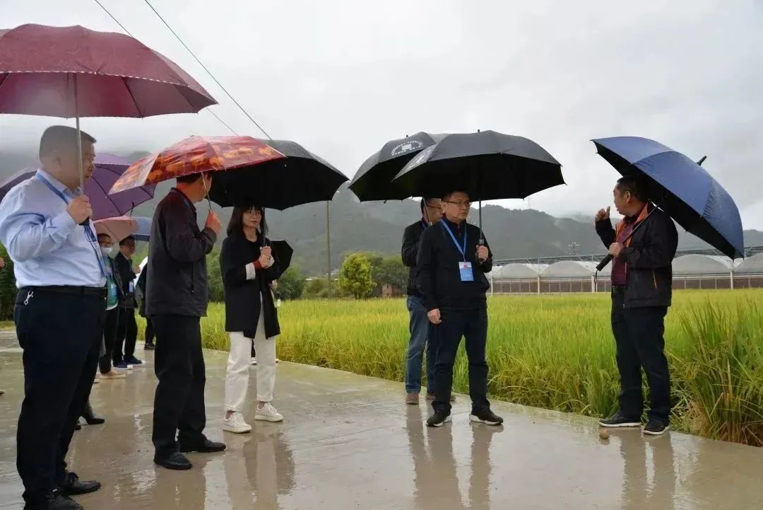 Δ《基本农田保护条例》实施情况执法检查聚焦耕地红线保护,新罗区