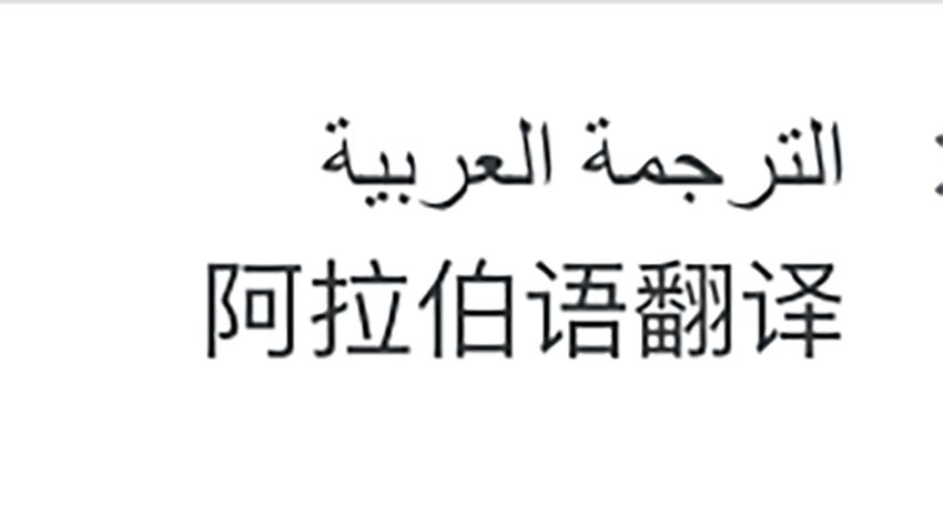 北京阿拉伯语翻译公司 你想了解的翻译流程和质量问题都在这里了