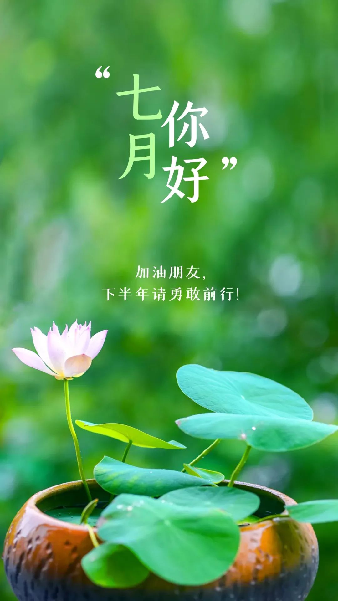 早安温馨祝福图片带字,愿清晨好心情,早安吉祥,七月你好