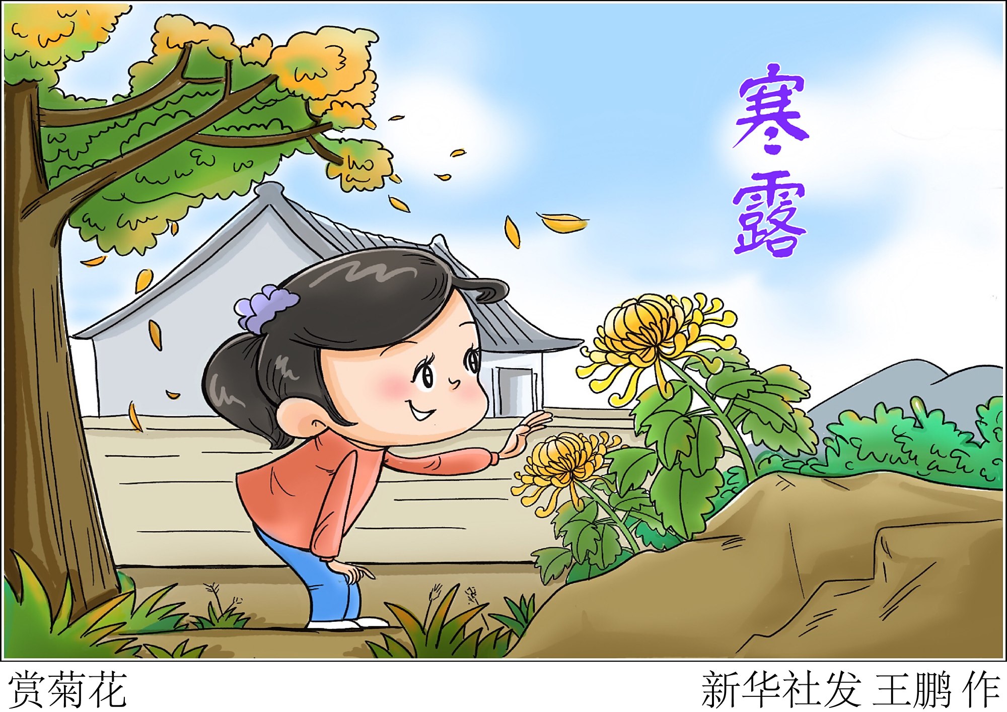 (图表·插画)「二十四节气·寒露」赏菊花