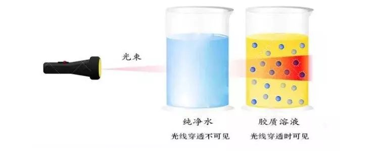 胶体和溶液的本质区别是什么?