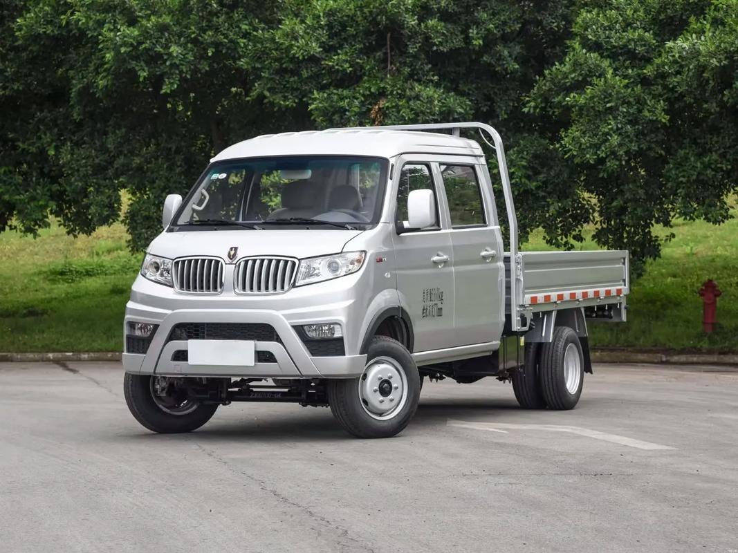 金杯t52可以购买吗,主要就是拉货用了,后期会不会毛病太多?