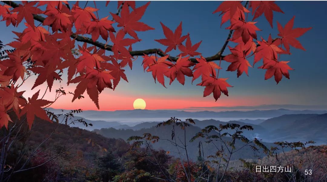 赏最美金秋 游大美白山‖浑江区四方山枫叶谷