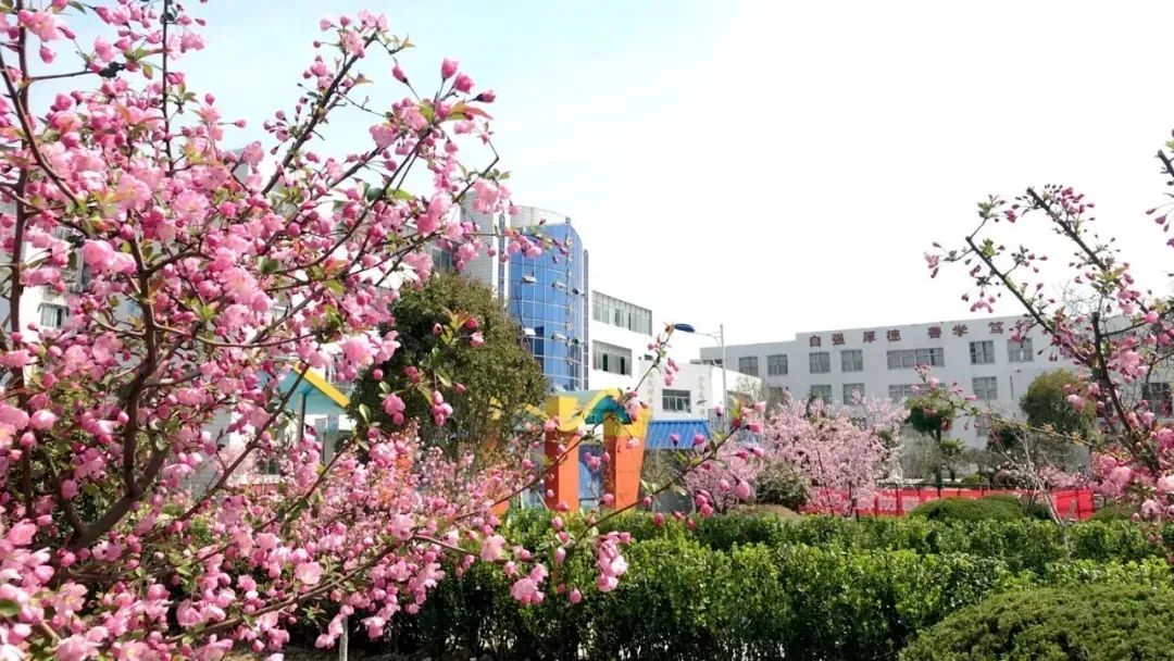 涟水县郑梁梅小学2021年一年级新生领取录取通知书及报名材料通知