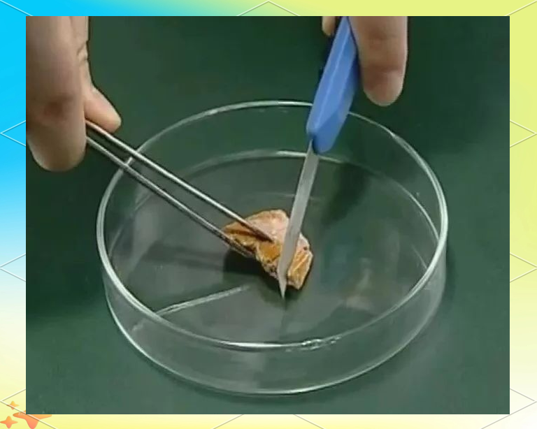 钠与水，钠与水的方程式