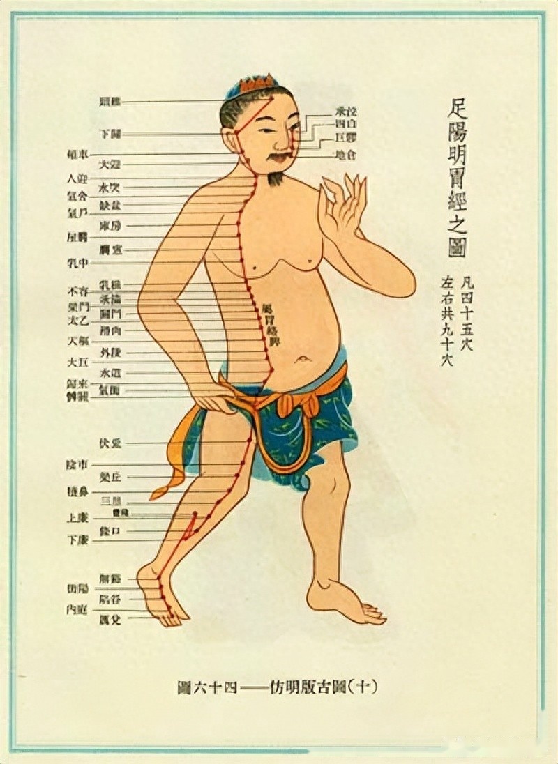 足阳明胃经循行及病候速记歌诀