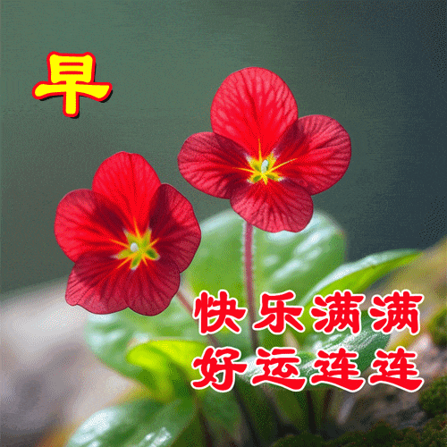 2025最新早安快乐表情图片,精选早上好祝福图片带字祝福语!