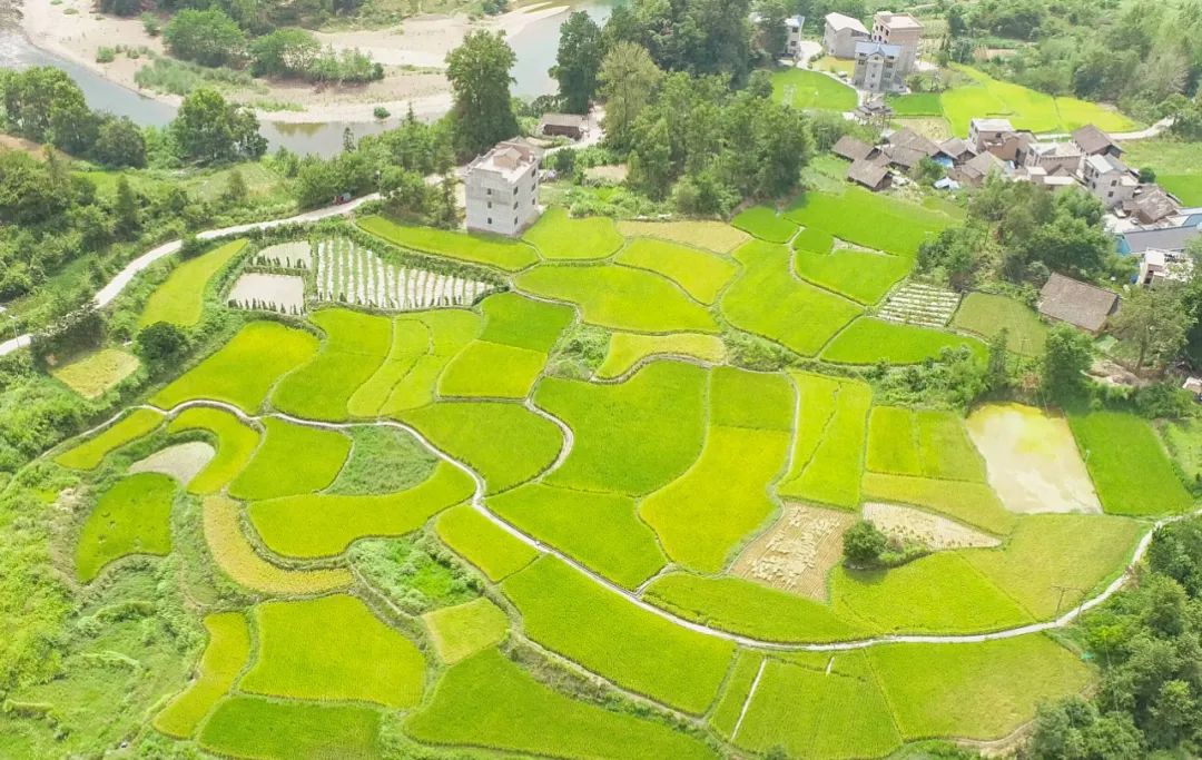 臺江縣施洞鎮小河村:金秋時節