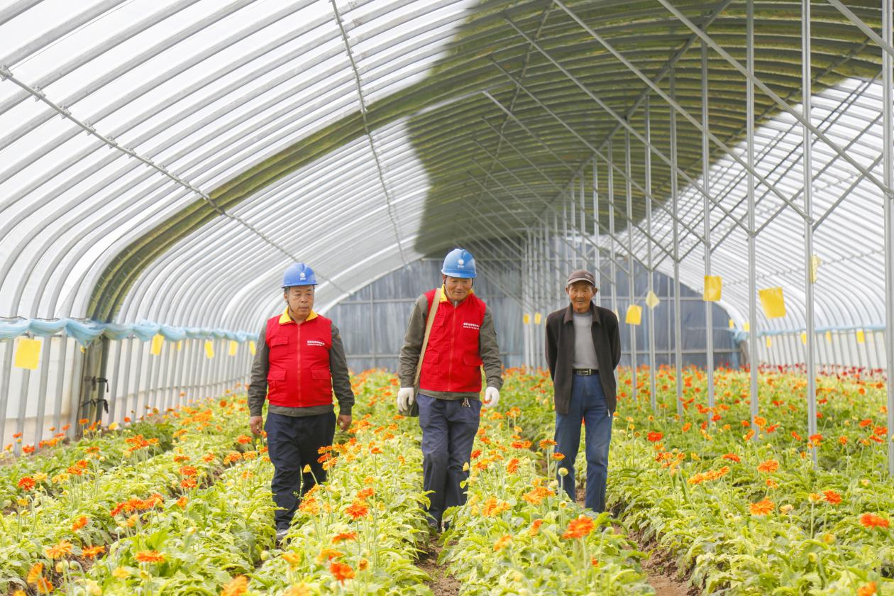 以加快农业农村现代化更好推进中国式现代化建设——从中央农村工作会议看2026年“三农”工作战略部署