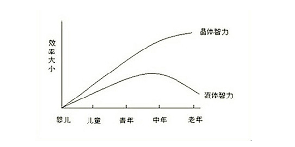 晶态智力是什么