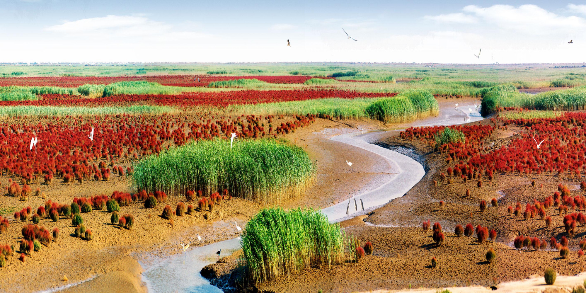 黄河口生态旅游风景区图片