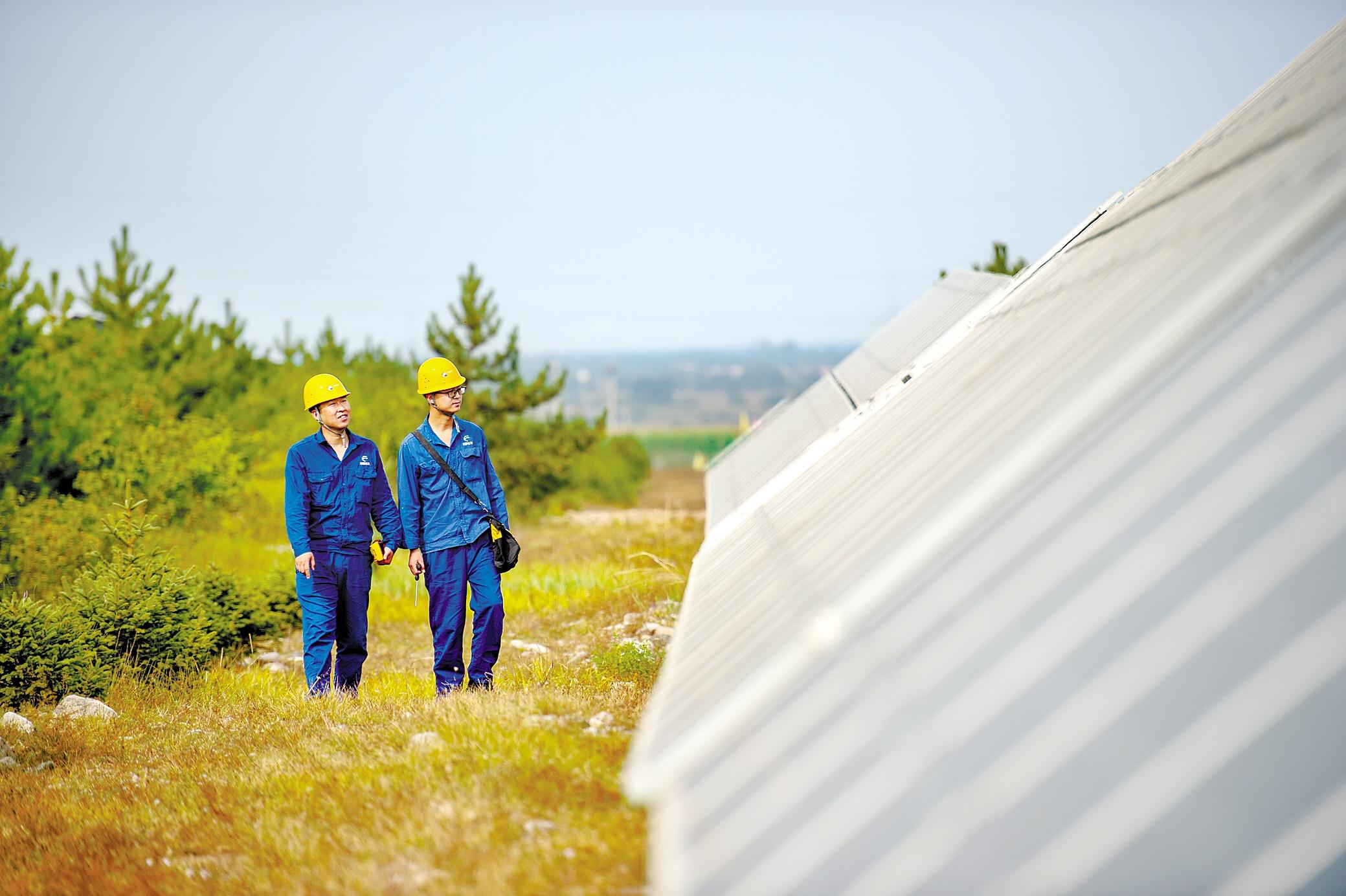 光林互补 一地两用