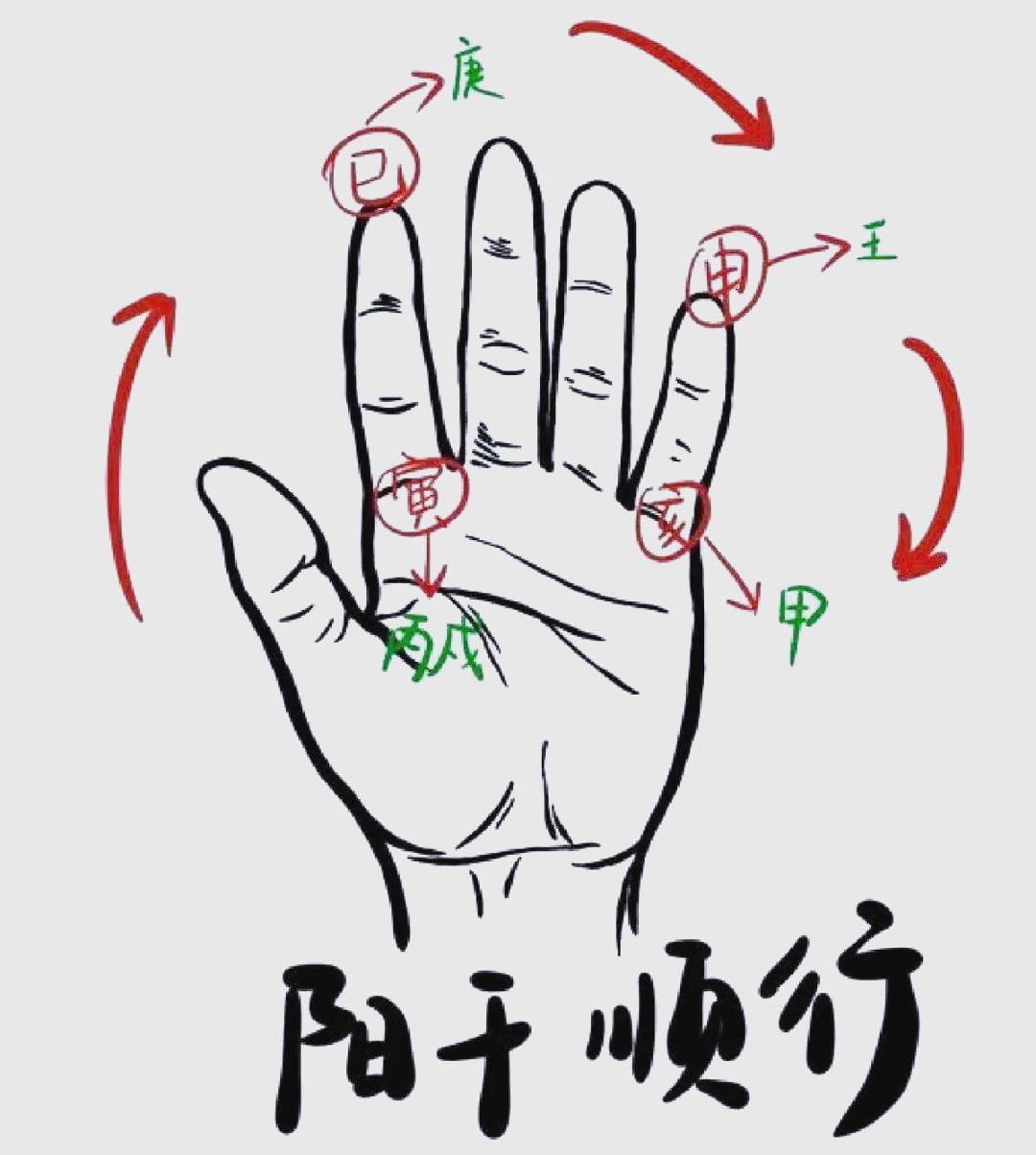 轻松掌握天干十二长生,长生掌诀助你一臂之力