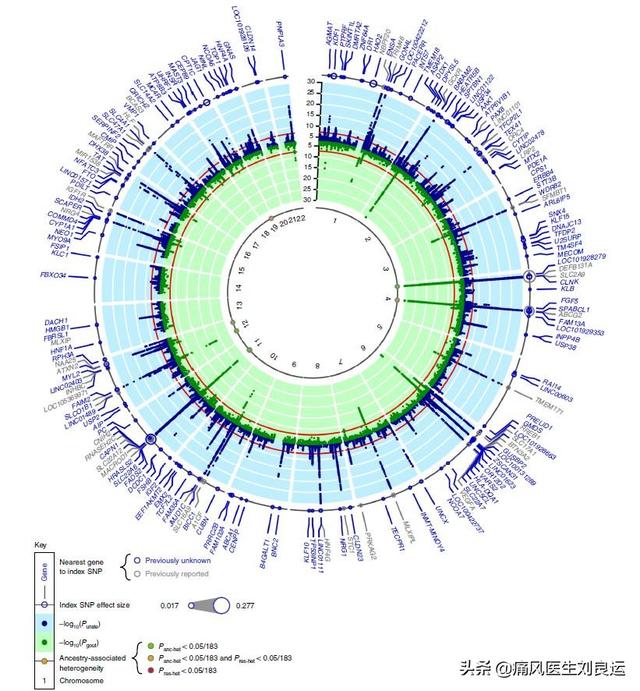183个与血清尿酸相关的基因位点
