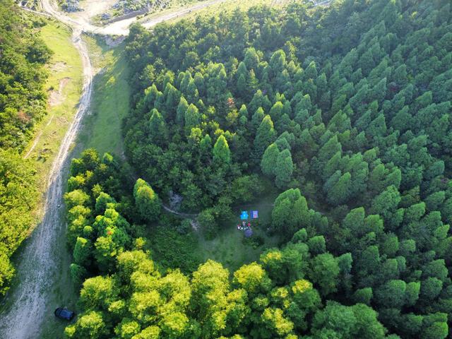 逃避闹市,回归山野,在浙江云县龙溪草甸露营,感觉睡在森林里