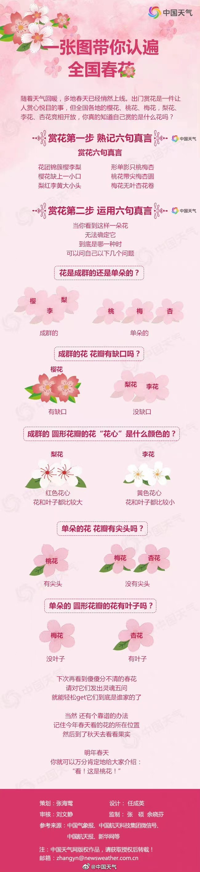 樱花和桃花的区别图片