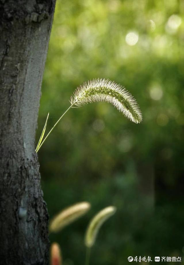 華山湖