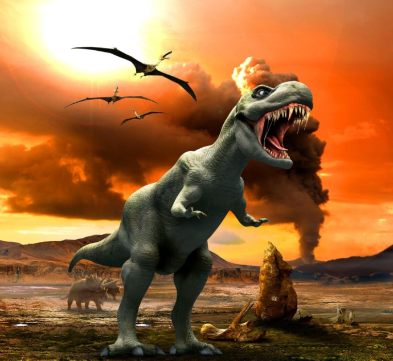 原来鸡是恐龙的后裔!网友表示:番茄炒蛋能吃出霸王龙肉的味道呢