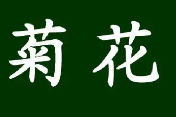 菊可以组什么词三年级