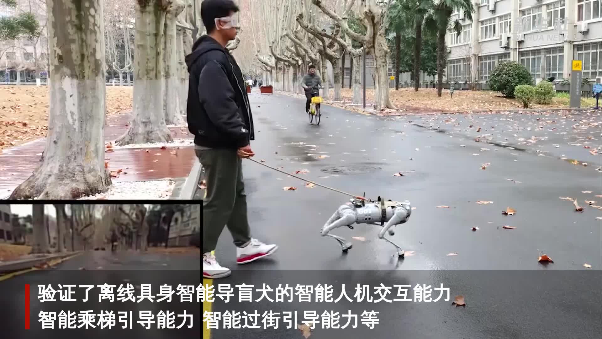 智能导盲犬图片