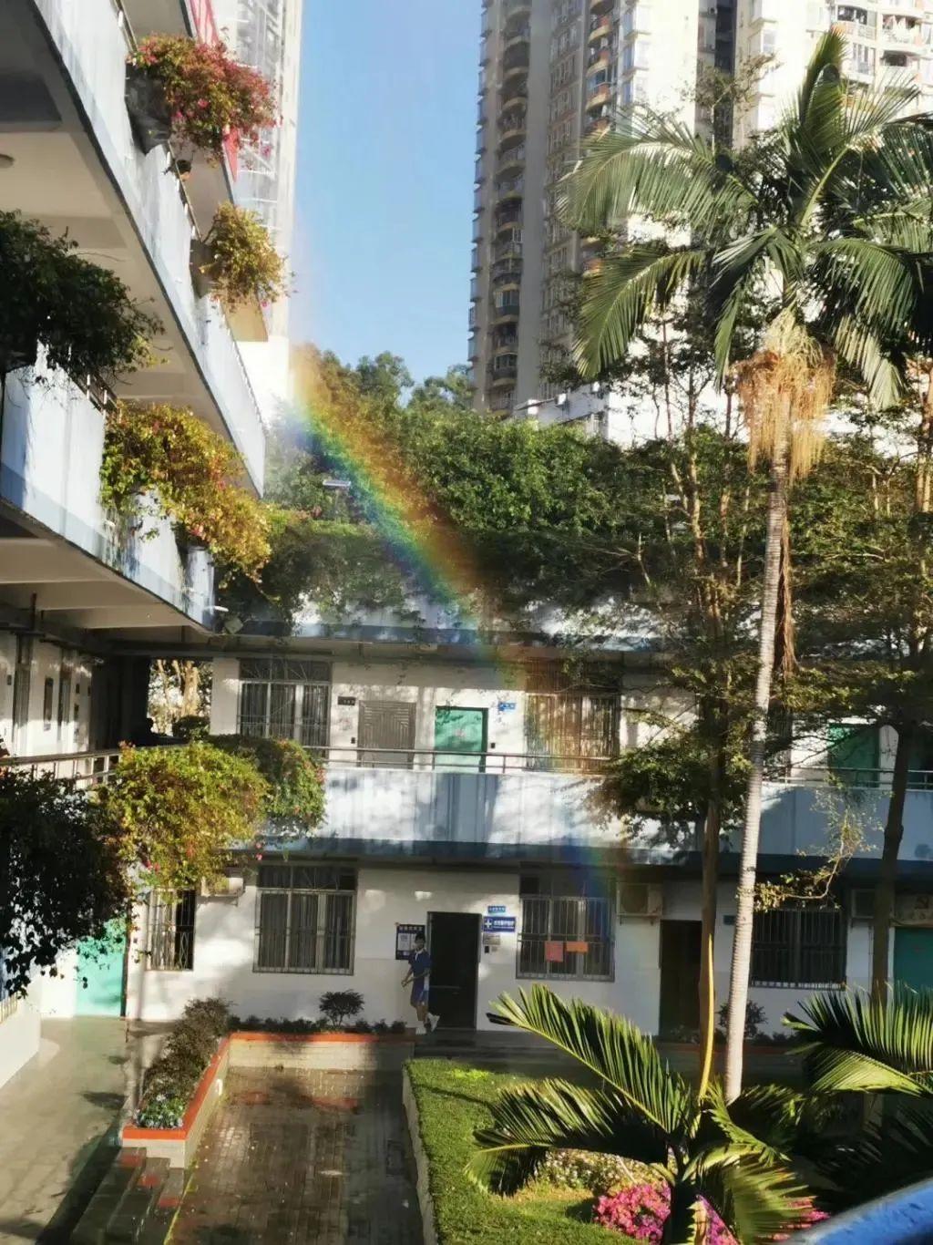 两优一先|布心中学党总支部书记张汉亮获评深圳"优秀基层党务工作者"