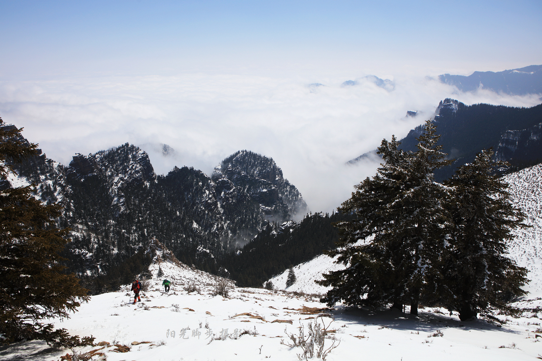 賀蘭晴雪——賀蘭山雲海