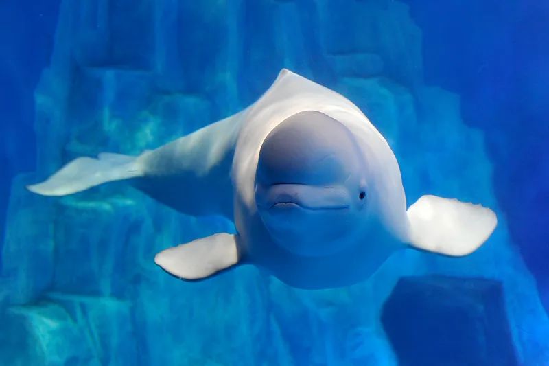 邀你免费游园,看看怎么预约!