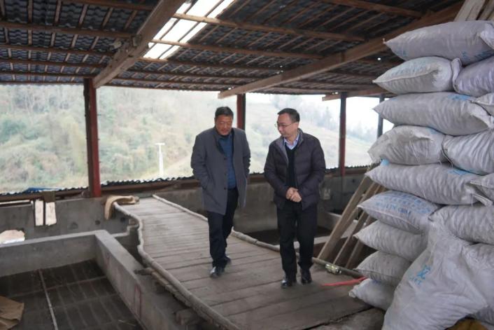 雷波法院院长张林"一对一"联络省人大代表