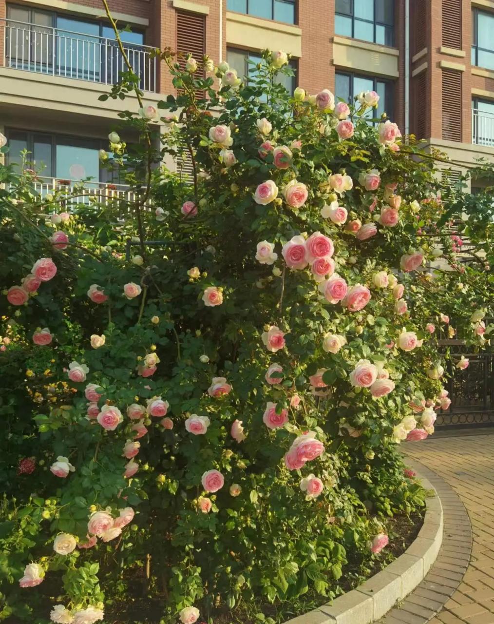 刚才我姐给我发微信,她一套闲置的住房终于卖了,刚签的合同,卖的价格