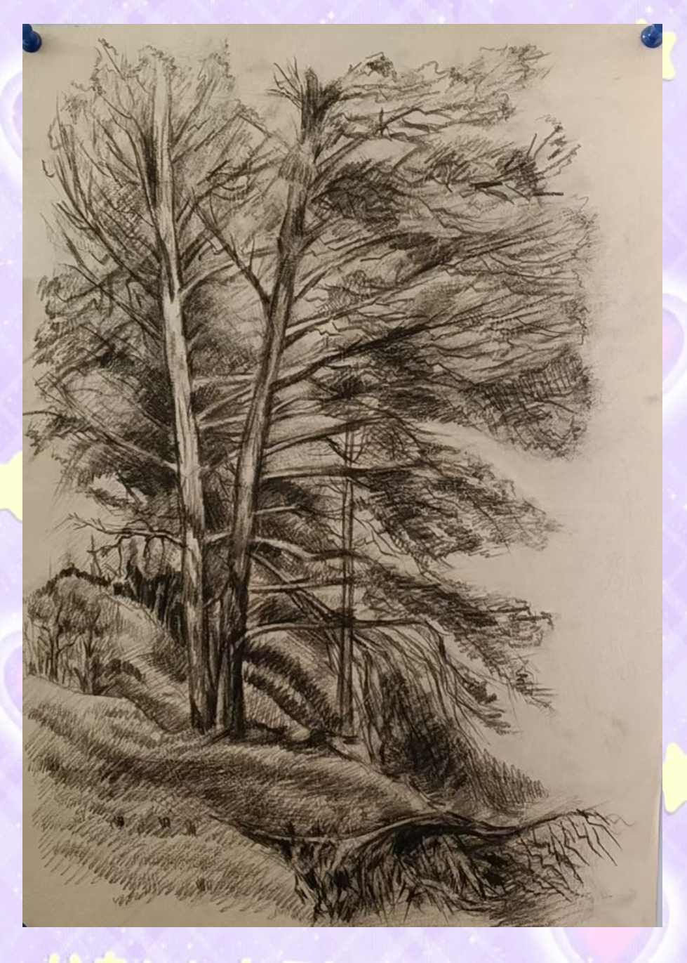 秋日写生之旅,感受自然与艺术的完美交融