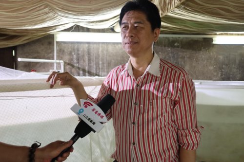 普通瘦身鱼变健康瘦身鱼,专访钟国华