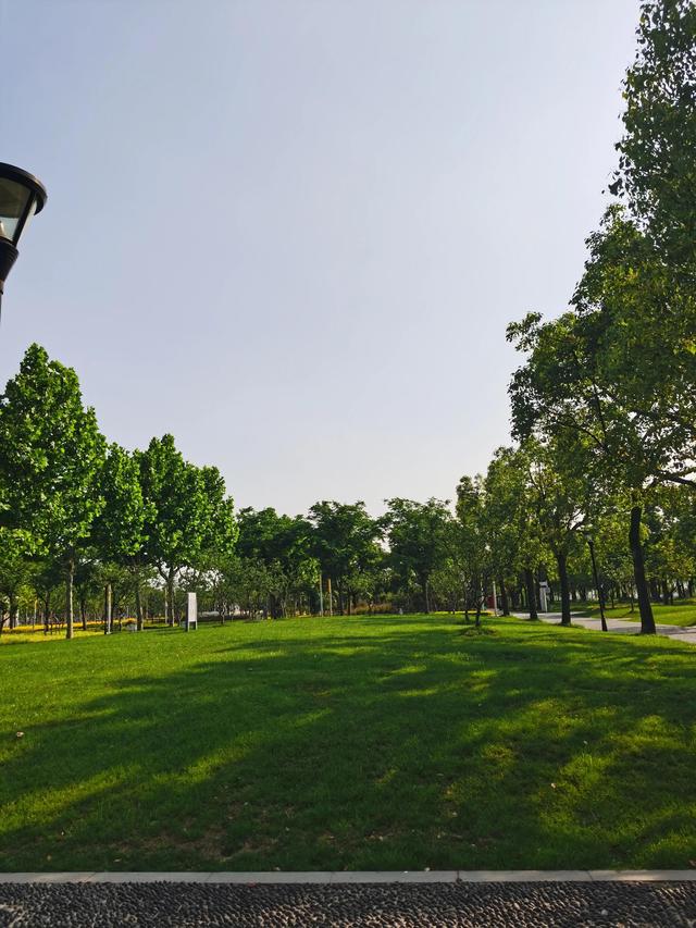 浦东前滩休闲公园实拍