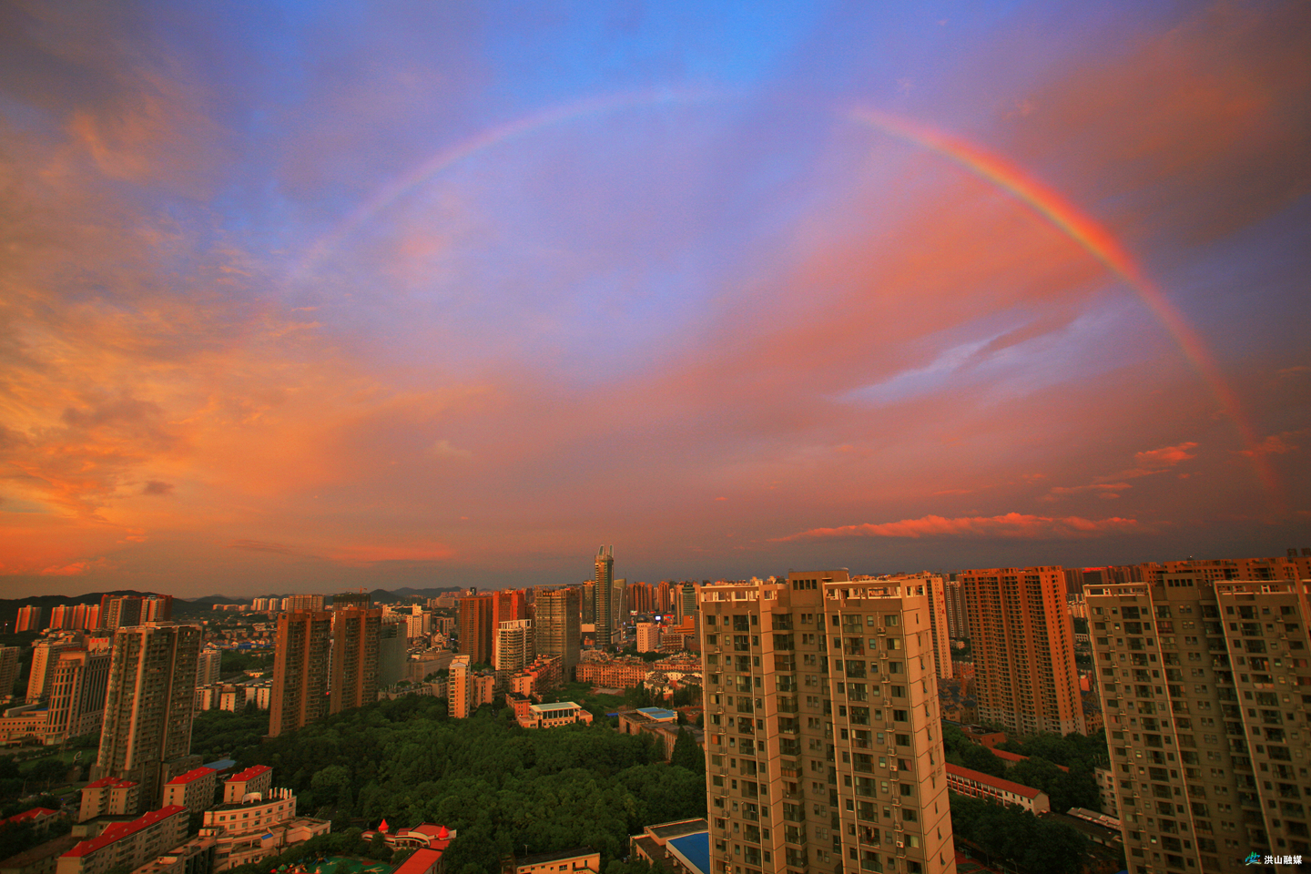 武汉市洪山区:与区内37所高校共同打造学城联动的大学之城
