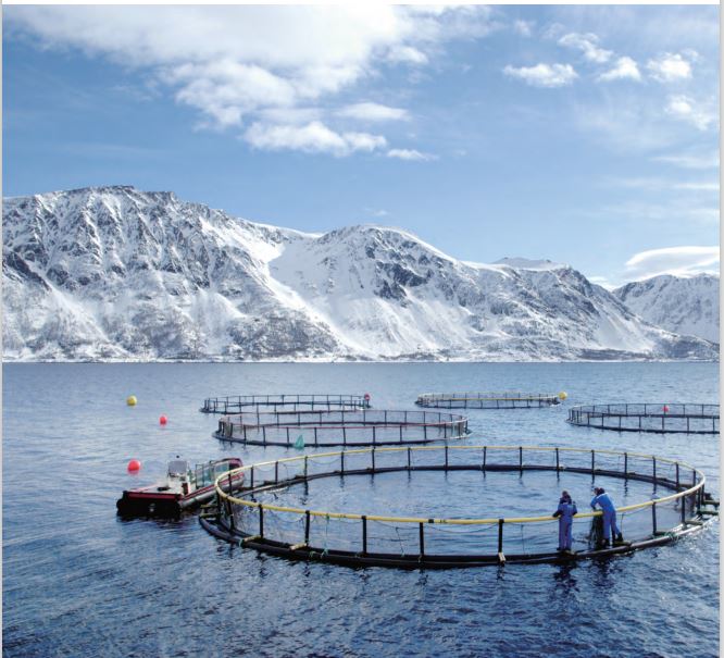 部分建议被采纳,青海龙羊峡虹鳟养殖场上下游拟增加水质监测点